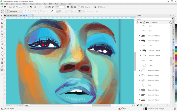 CorelDRAW Graphics Suite - Professional vector illustration CorelDRAW Graphics Suite - Professional vector illustration